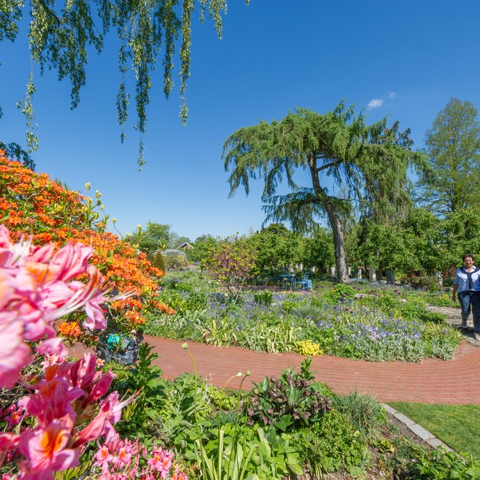 Im linken Teil befinden sich rosa- und orangefarbene Blüten. Im rechten Teil gehen zwei Menschen durch den Garten. (vergrößerte Bildansicht wird geöffnet)