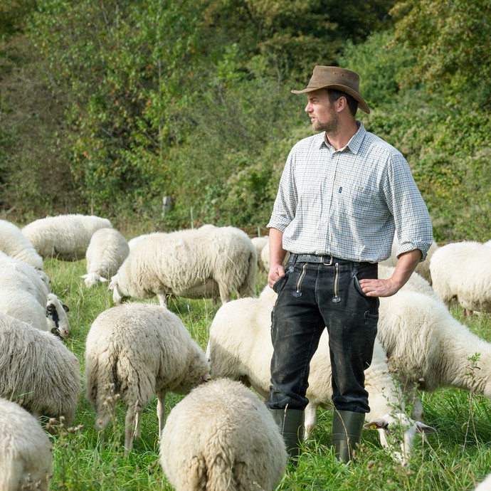 Der Schäfer Chiel van Dijk beobachtet seine Schafe auf einer grünen Wiese. Er trägt Hut und Gummistiefel. (vergrößerte Bildansicht wird geöffnet)