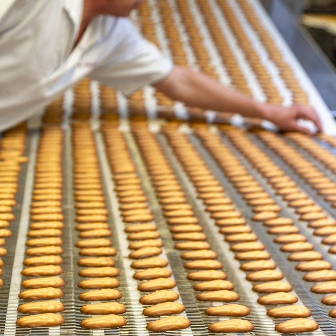 Goldgelbe Kekse liegen auf einem Fließband. Sie kommen gerade aus dem Ofen. Ein Mitarbeiter der Firma berührt ein Plätzchen. (vergrößerte Bildansicht wird geöffnet)