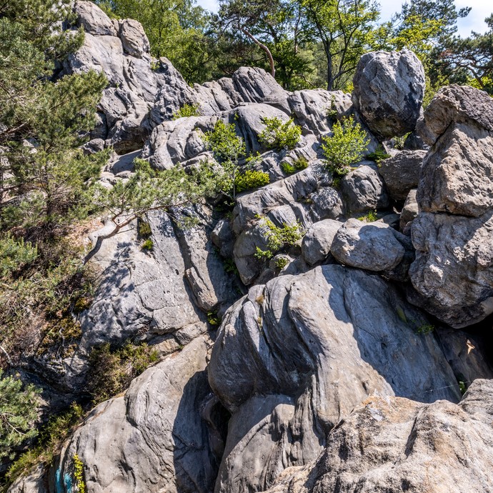 Das Foto ist von unten aufgenommen. Große graue Felsen sind von grünen Pflanzen bewachsen. Oben ist der blaue Himmel. (vergrößerte Bildansicht wird geöffnet)
