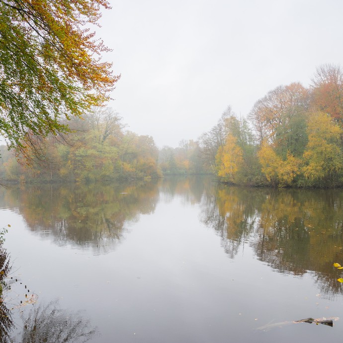 Ein See ist von Bäumen umgeben. Die Blätter der Bäume sind grün, orange und gelb. Rechts steht ein Angler in seinem Boot. (vergrößerte Bildansicht wird geöffnet)