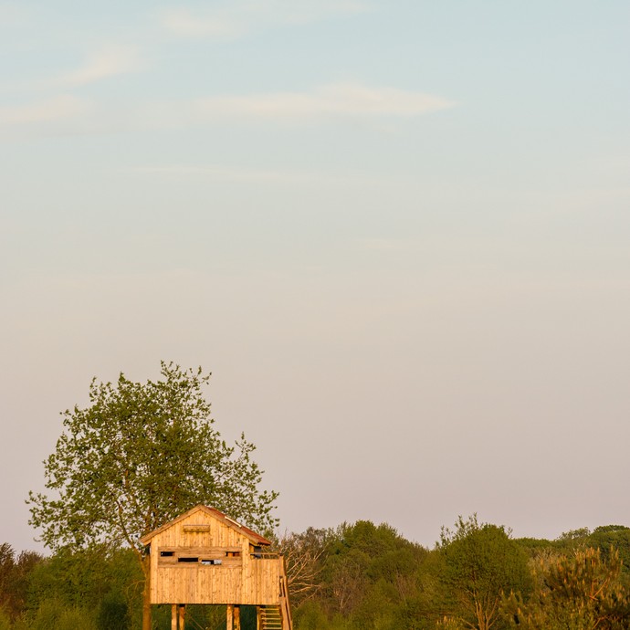 Beobachtungs- und Aussichtsturm "Schnepfenturm" in der Abenddämmerung. Am Horizont ist der aufgehende Vollmond. (vergrößerte Bildansicht wird geöffnet)