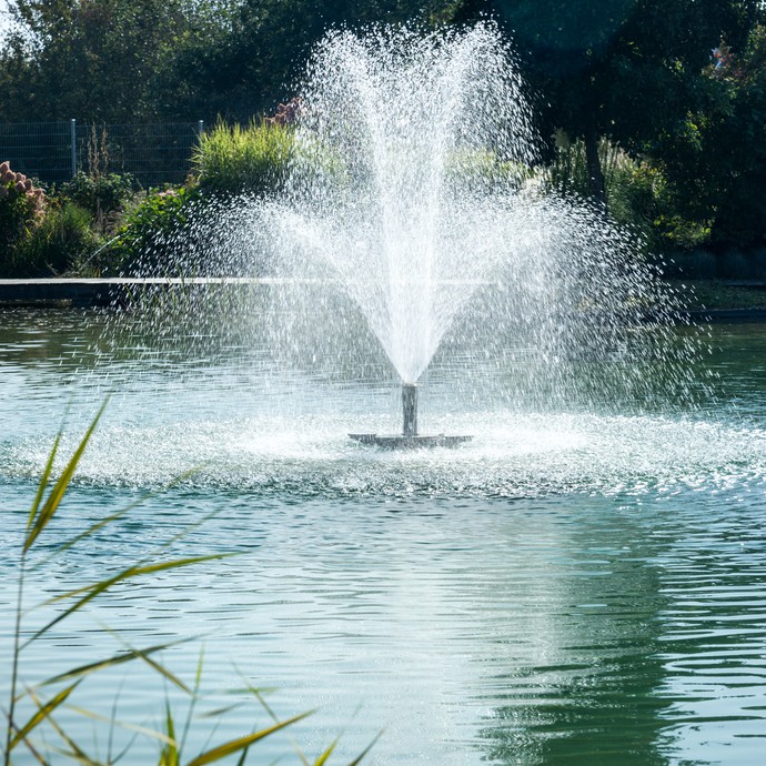 Die Firma Oase ist Spezialist für Wasserbau- und Fontänentechnik. Das Foto zeigt eine Fontäne im Gartenteich. (vergrößerte Bildansicht wird geöffnet)