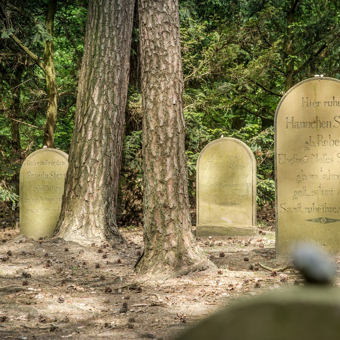 Grabsteine auf einem jüdischen Friedhof. Es liegen Steine darauf. Die Steine stehen für den Respekt vor den Verstorbenen. (vergrößerte Bildansicht wird geöffnet)