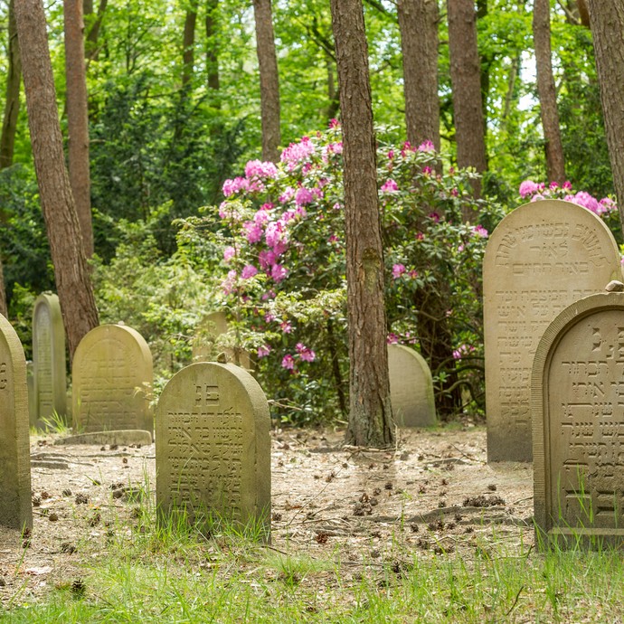 Grabsteine auf einem jüdischen Friedhof. Die Schrift der Steine ist Hebräisch. Im Hintergrund blüht ein Busch. (vergrößerte Bildansicht wird geöffnet)