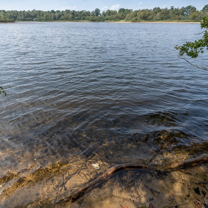 Nahaufnahme des Seeufers. Durch das klare Wasser sieht man den Sandboden. (vergrößerte Bildansicht wird geöffnet)