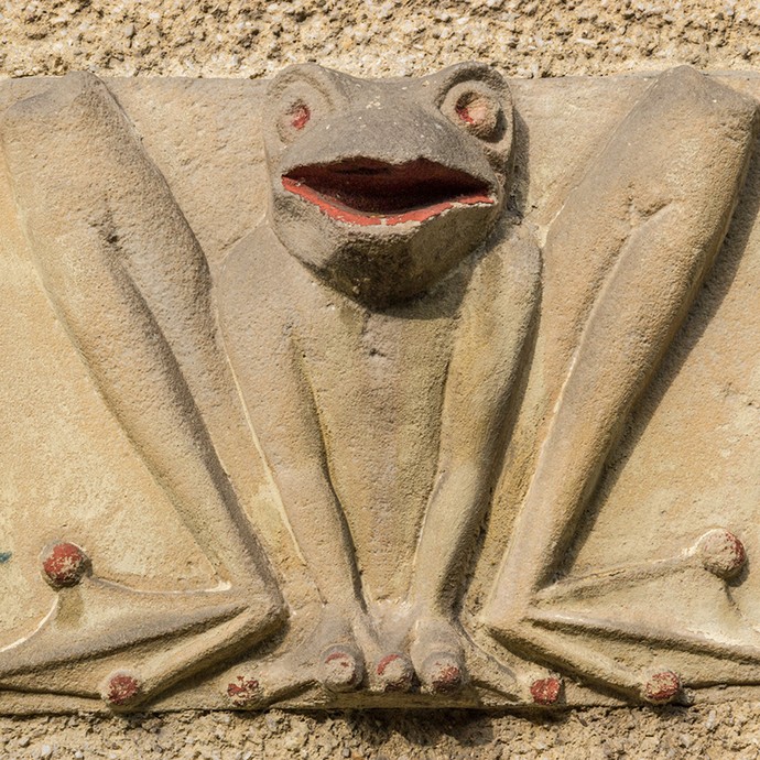 Am Eingang ist ein Frosch aus gelblichem Stein. Auf Niederdeutsch heißt Frosch Pogge. Deshalb wurde das Haus damals Poggenburg genannt. (vergrößerte Bildansicht wird geöffnet)
