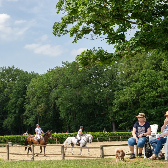 Links reiten Reiter/innen auf Pferden über einen Sandboden. Rechts sitzen Zuschauer/innen auf Stühlen im Rasen. (vergrößerte Bildansicht wird geöffnet)