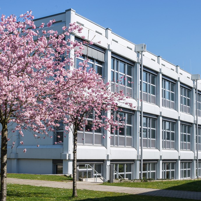 Vor dem Campus-Gebäude E blüht ein Kirschbaum. Viele Fenster reihen sich in die helle Hausseite ein. Ein sonniger Tag. (vergrößerte Bildansicht wird geöffnet)