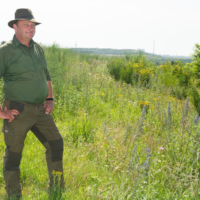 Forstwirtschaftsmeister Norbert Börgel steht in grüner Kleidung auf einer Wiese. Er kümmert sich um die Renaturierung der Zeche. (vergrößerte Bildansicht wird geöffnet)