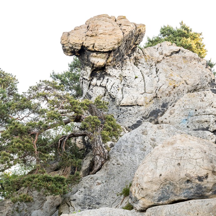 Nahaufnahme der Felsen "hockendes Weib". Sie sind umgeben von grünen Bäumen. (vergrößerte Bildansicht wird geöffnet)