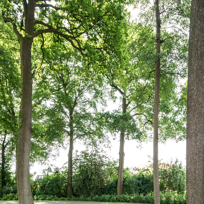Blick in den Garten mit Bäumen. Auf dem Rasen sind Buchstaben aufgestellt, die das Wort "Heimat" ergeben. (vergrößerte Bildansicht wird geöffnet)