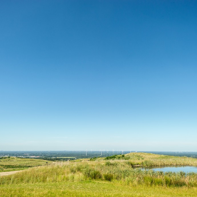 Blick aus der Ferne bei strahlend blauem Himmel. Im Vordergrund sind hellgrüne Wiesen, dahinter Wald und Windräder. (vergrößerte Bildansicht wird geöffnet)