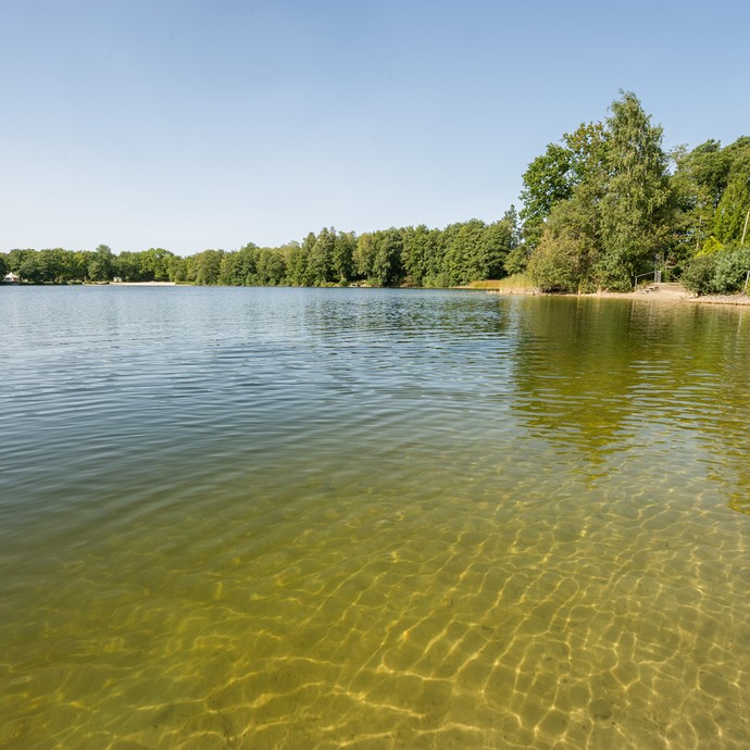 Im Vordergrund ist die klare hellgrüne Wasseroberfläche des Sees. Das Wasser wird nach hinten dunkler. Im Hintergrund sind grüne Bäume am Uferrand. (vergrößerte Bildansicht wird geöffnet)